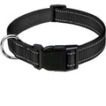 Collier pour chien
