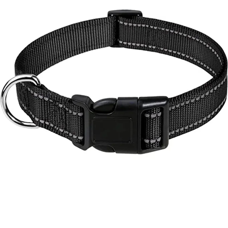 Collier pour chien